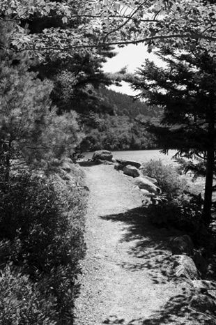 A walk in the Park Black & White - NHP162B A walk in the Park Black & White - NHP162B